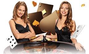 116bet